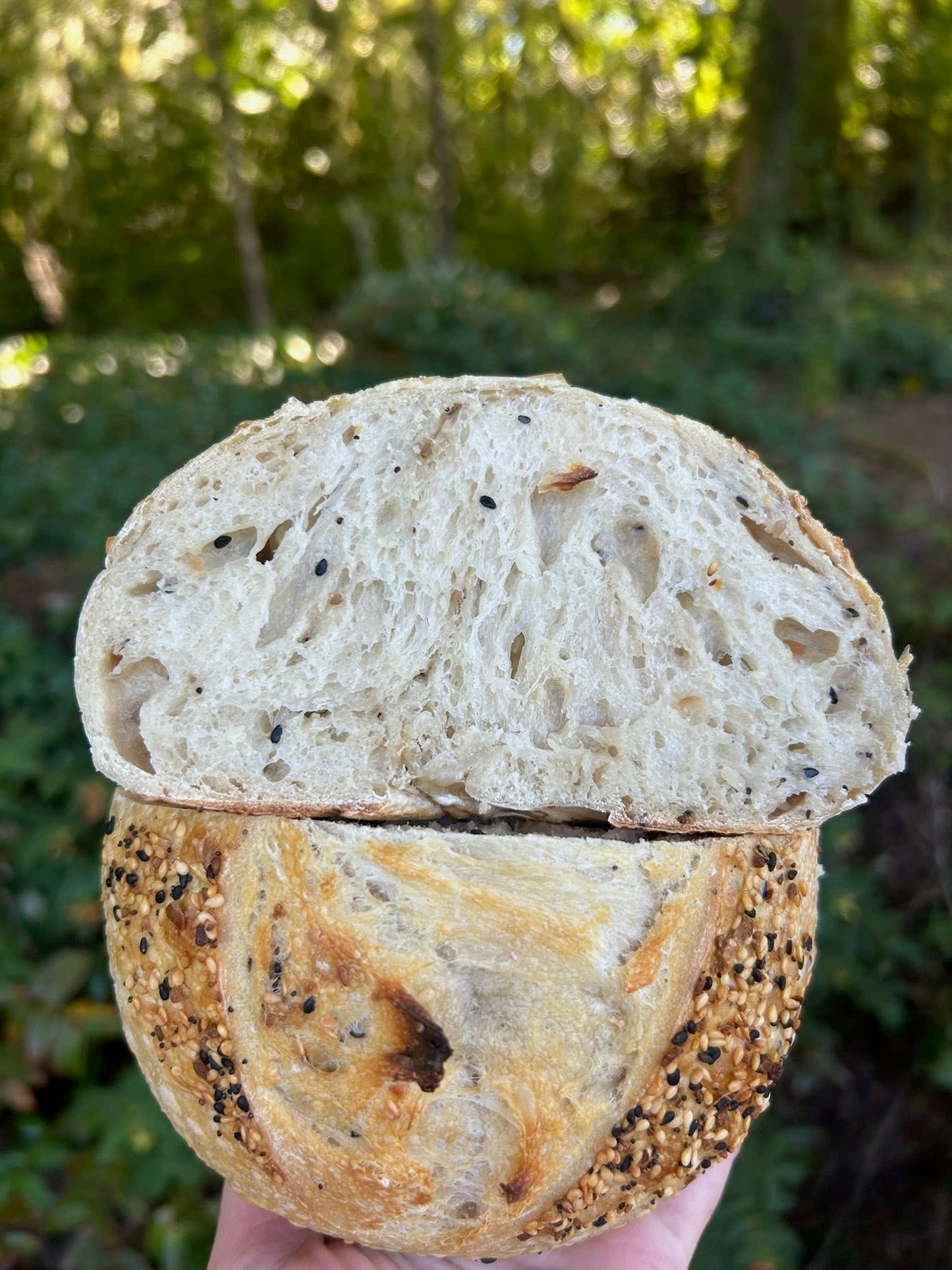 3/1 Beginner Sourdough Workshop