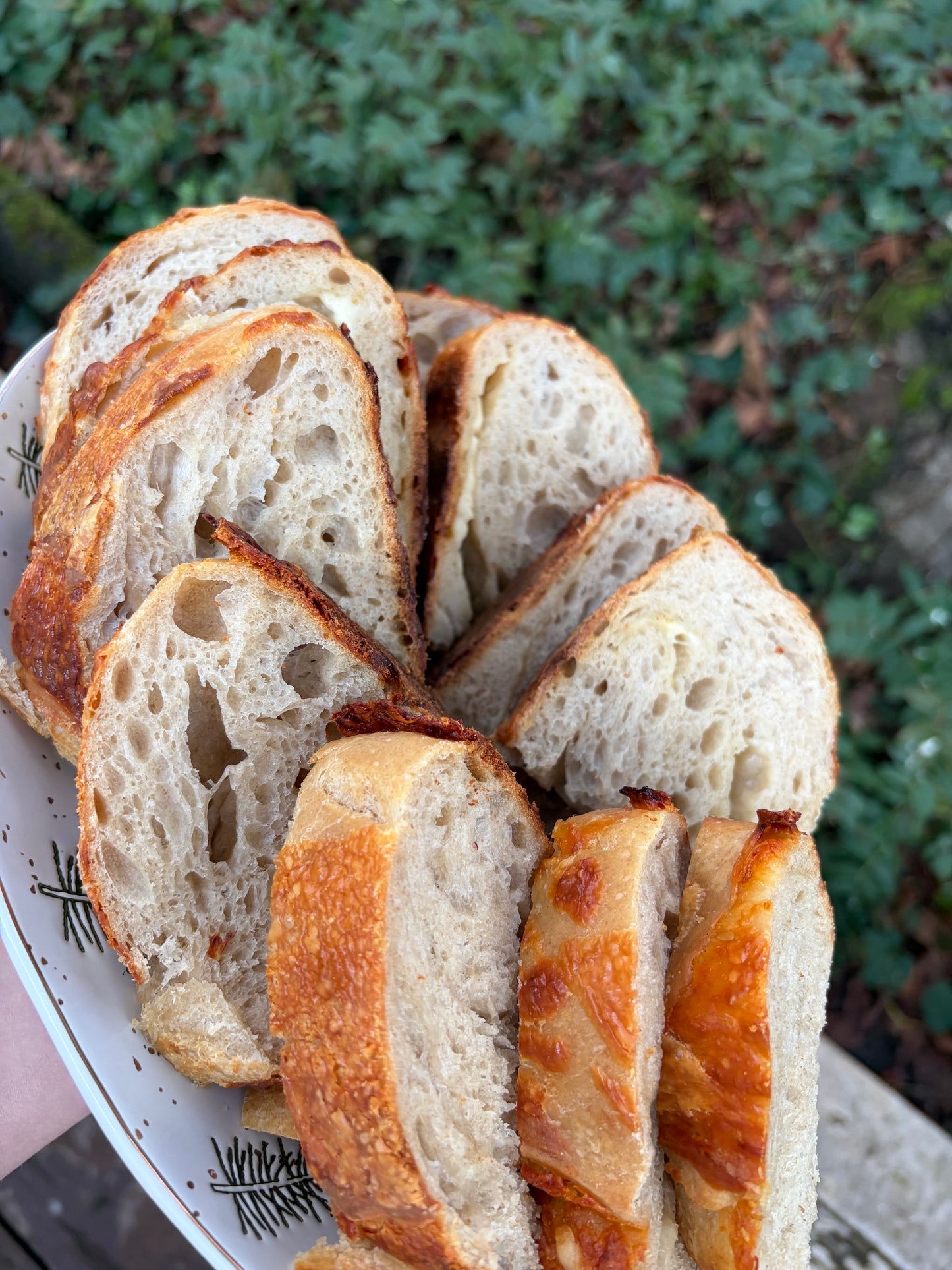 3/1 Beginner Sourdough Workshop