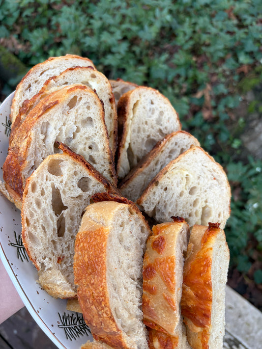 1/31 Beginner Sourdough Workshop
