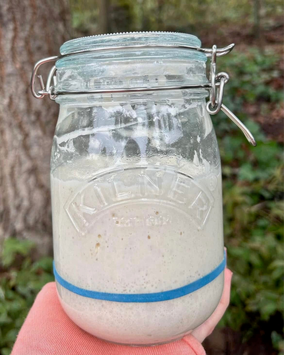 3/1 Beginner Sourdough Workshop