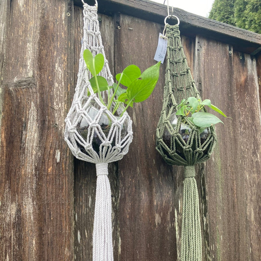 4/11 Macramé Globe Plant Hanger Workshop