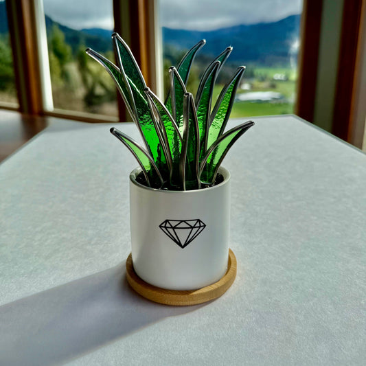 10/27 Stained Glass Plant Workshop